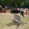 foire-haricots 2011-09-17et18
